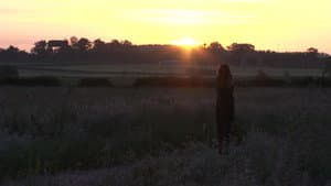 Black Beauty 1: Escape to Eden — foto 2