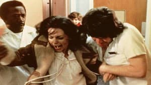 The Cracker Factory — foto 2