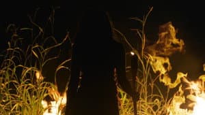 Taga — foto 9
