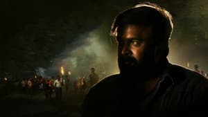 காரி — foto 1