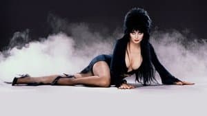 Elvira, la dama de la oscuridad — foto 4
