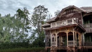 Zombie House Flipping — foto 5