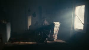 Zoé — foto 1