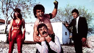 İntikamcı — foto 1