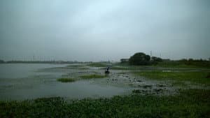 方绣英 — foto 7