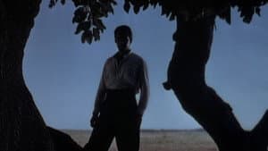 El camino del gaucho — foto 1