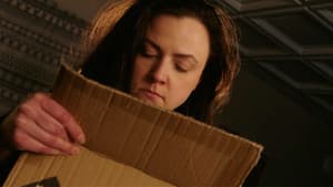 What's in the Box — foto 1