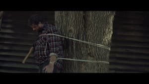 Lurking Woods — foto 5