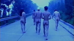 雾语 — foto 1