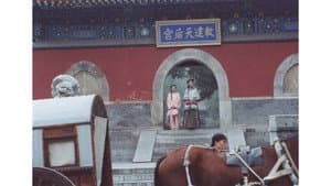 买办之家 — foto 2