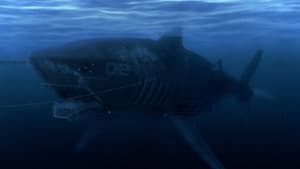 Mega Shark vs. Mecha Shark — foto 5