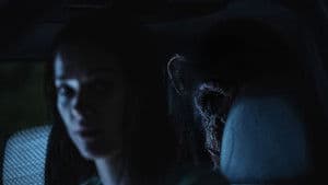Primate — foto 9