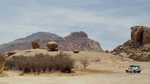 Das nomadische Gen — foto 1