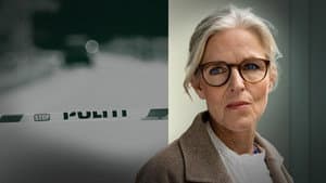 Kriminelt — foto 4