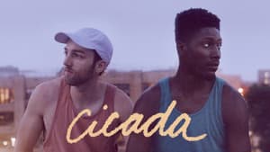 Cicada — foto 6