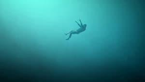 We Came Frome The Sea — foto 2