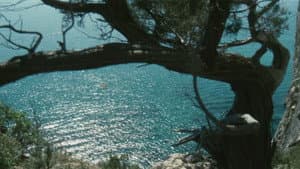 Travolti da un insolito destino nell'azzurro mare d'agosto — foto 11