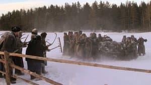 Полумгла — foto 1
