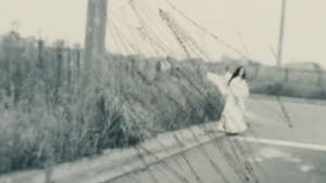 片足の神様 — foto 6