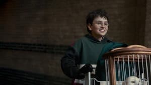 Harry Potter — foto 5