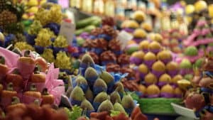 Prato do Dia — foto 1