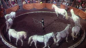 The Red Pony — foto 2