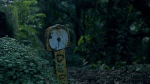 Silêncio das Asas — foto 9
