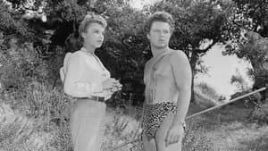 Killer Leopard — foto 1