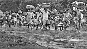 Stop Genocide — foto 1