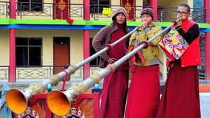 Tibet - Les nourritures terrestres — foto 1