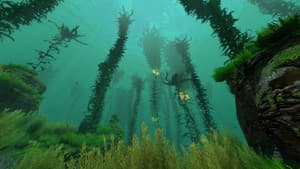 Kelp, une forêt sous la mer — foto 1