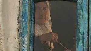 چیدن سپیده دم — foto 1