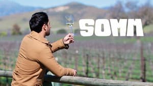 Somm — foto 4