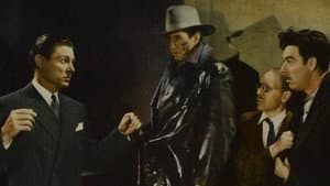 The Black Raven — foto 3