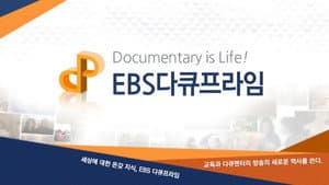EBS 다큐프라임 — foto 1