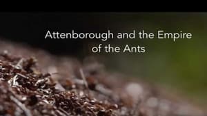 Attenborough and the Empire of the Ants — foto 2