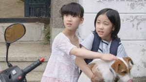 개를 훔치는 완벽한 방법 — foto 1