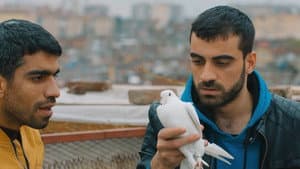 Sur'da Devran — foto 10