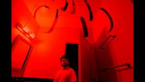 exposer — foto 1