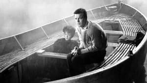 Sail a Crooked Ship — foto 1
