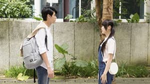 Miss in Kiss — foto 1
