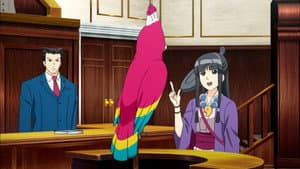Episodio 11