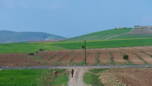 Yol — foto 5