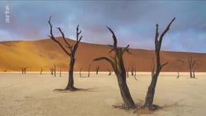 Abenteuer Namibia — foto 1