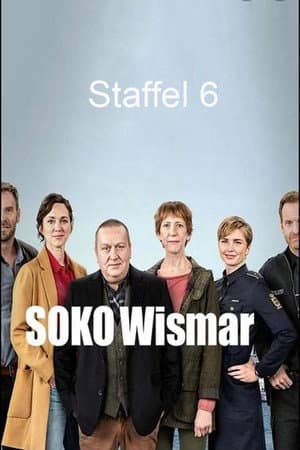 Temporada 6