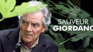 Sauveur Giordano — foto 1