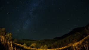 Ambassadors of the Sky — foto 1