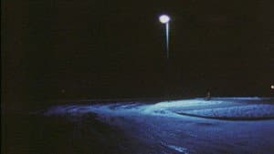 In Order Not to Be Here — foto 4