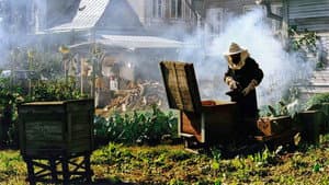 U Pana Boga za piecem — foto 10