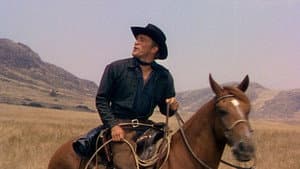 Hombre sin rumbo — foto 9